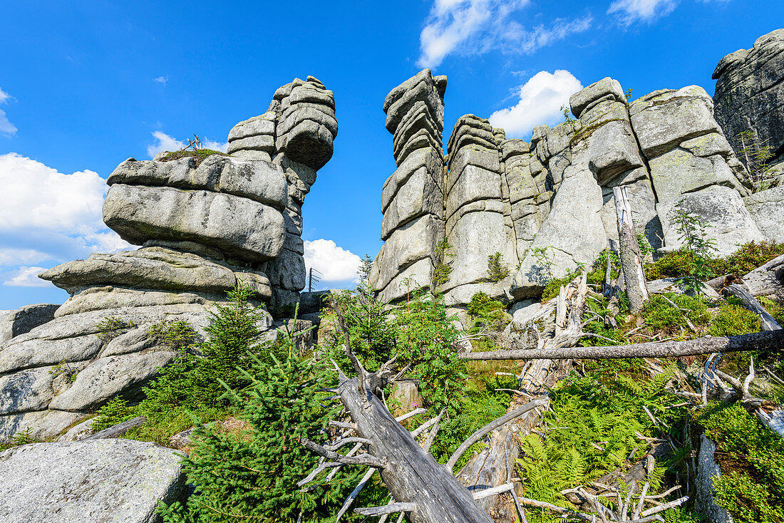 Felsformationen am Dreisesselberg im Bayerischen Wald, Bayern, Deutschland