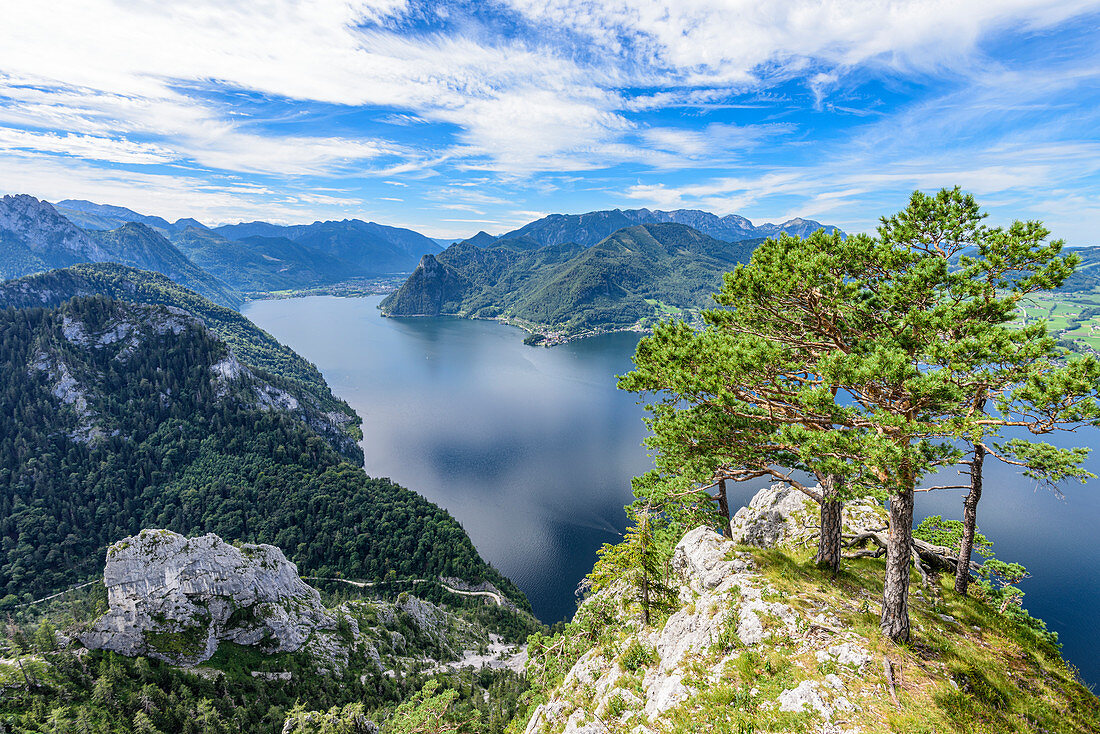 Pine trees on the Traunstein and view of the Traunsee in the Salzkammergut, Upper Austria, Austria
