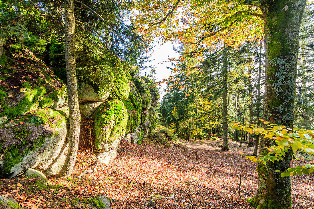 Rock formation at Kühstein in the Upper Mühlviertel, Upper Austria, Austria