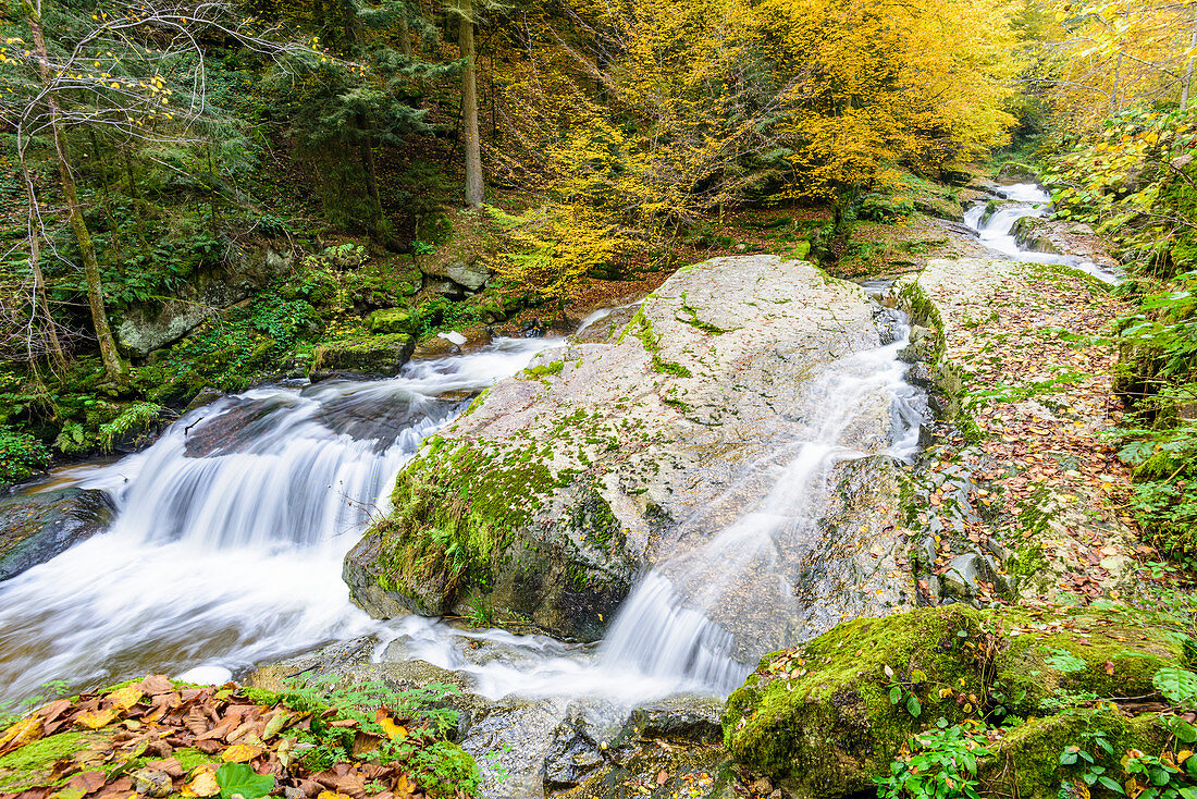 Romantisches Wildbachtal im Herbst, Oberes Mühlviertel, Oberösterreich, Österreich