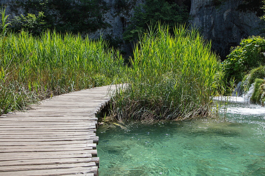 Wooden plank path over pool, Plitvice Lakes National Park, Lika-Senj, Croatia, Europe