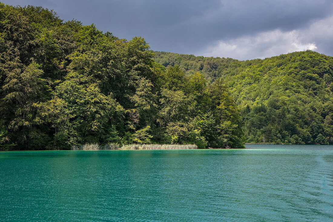 See und Wald, Nationalpark Plitvicer Seen, Lika-Senj, Kroatien, Europa