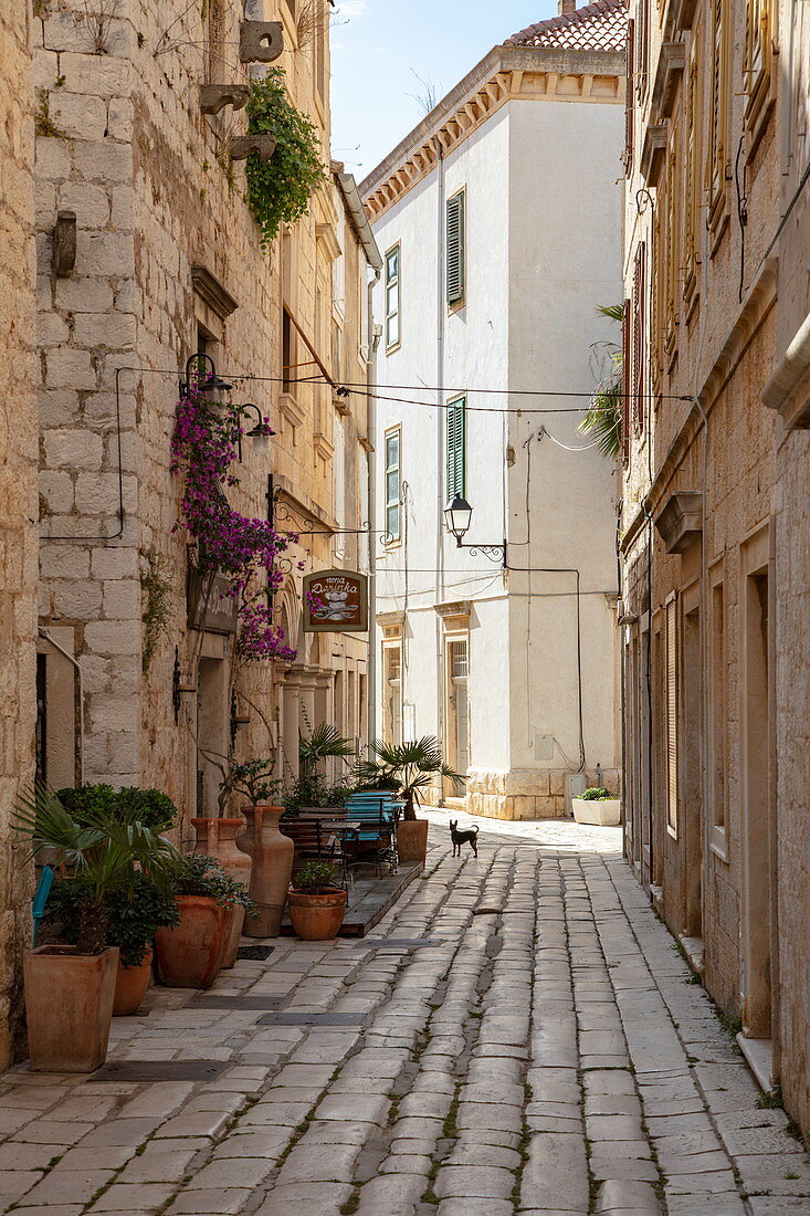 Cobblestone alley in the old town, Vis, Vis, Split-Dalmatia, Croatia, Europe