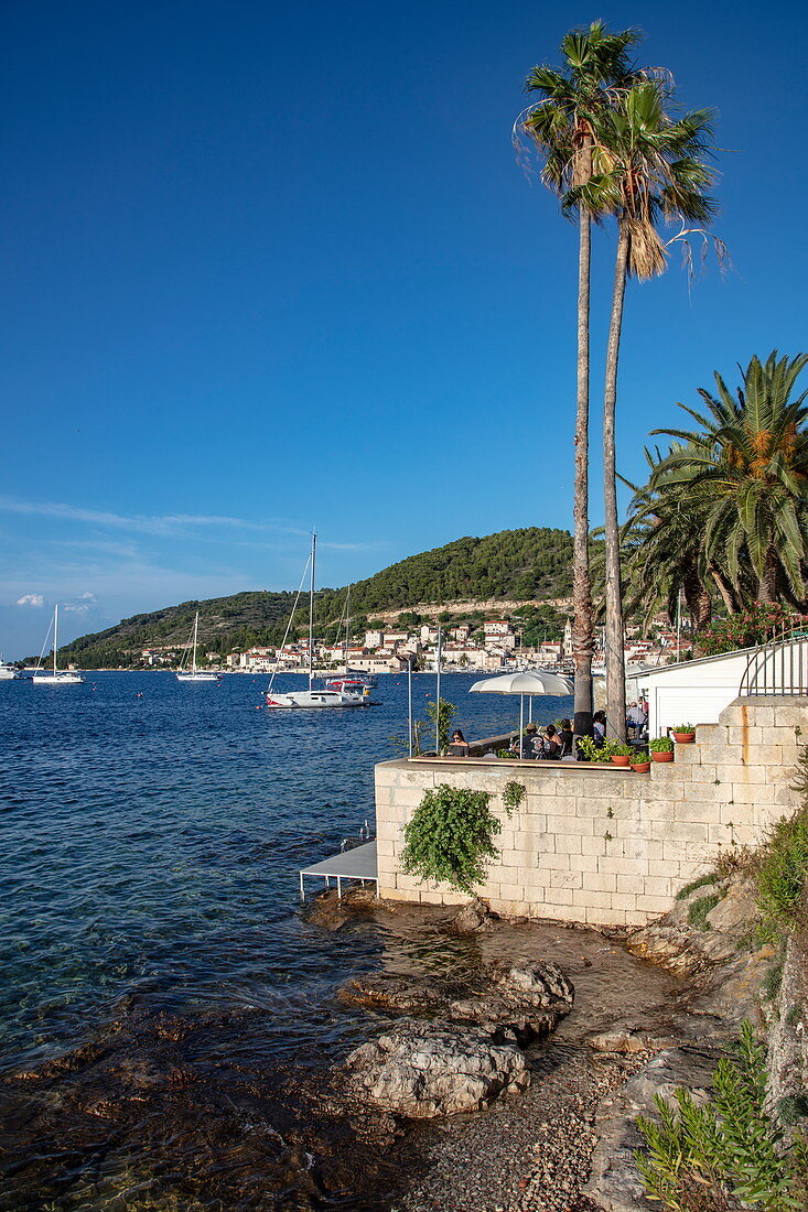 Bar and palm trees by the water, Vis, Vis, Split-Dalmatia, Croatia, Europe