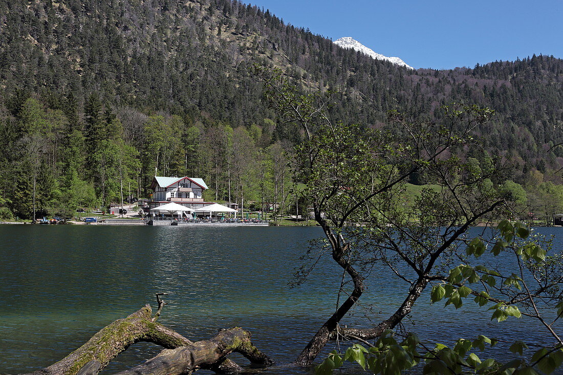 Seewirt, Thumsee, Bad Reichenhall, Berchtesgadener Land, Oberbayern, Bayern