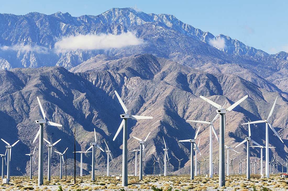Wind turbines generating electricity, Santa Barbara, California, USA