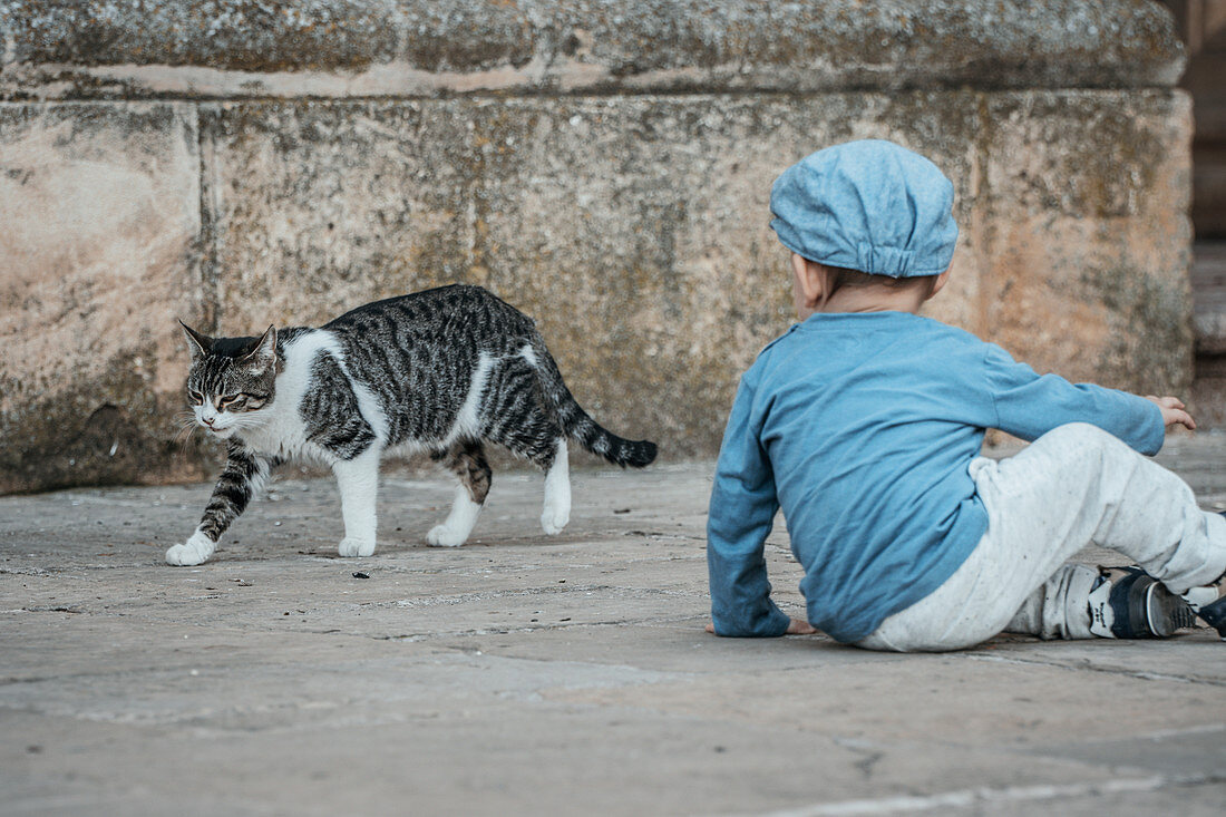 Kind im Sitzen beobachtet eine vorbei laufende Katze in Marbella, Spanien