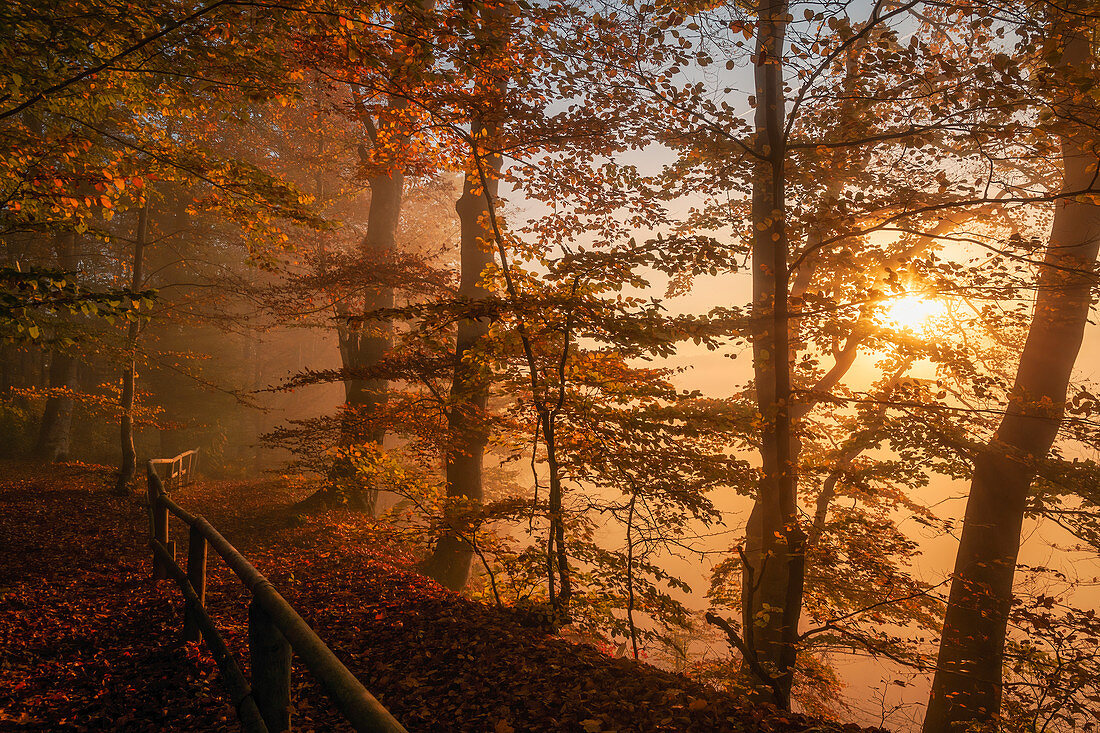 Sonniger Herbstmorgen am Isar Hochufer, Bayern, Deutschland, Europa