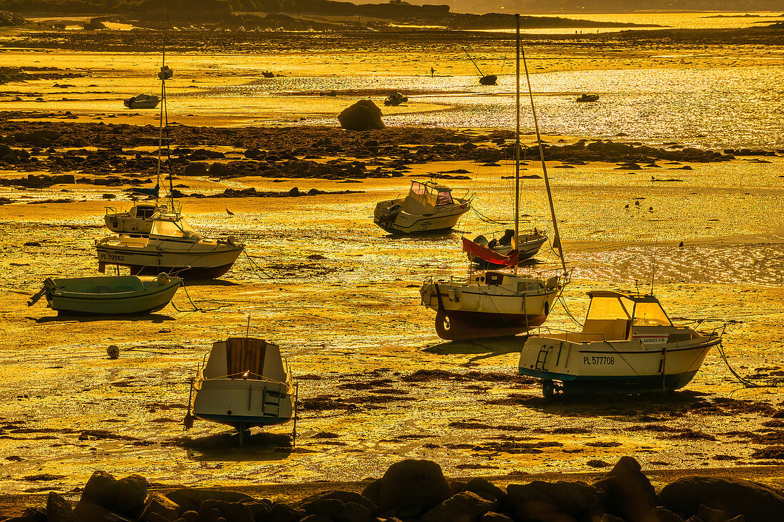 Boote in der Bretagne im goldenen Abendlicht bei Ebbe, Frankreich