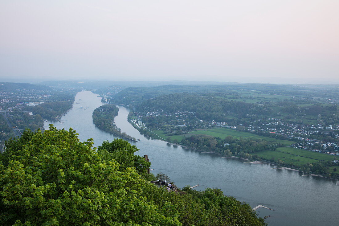 Rhine seen from Drachenfels hill, Koenigswinter, North Rhine-Westphalia, Germany, Europe