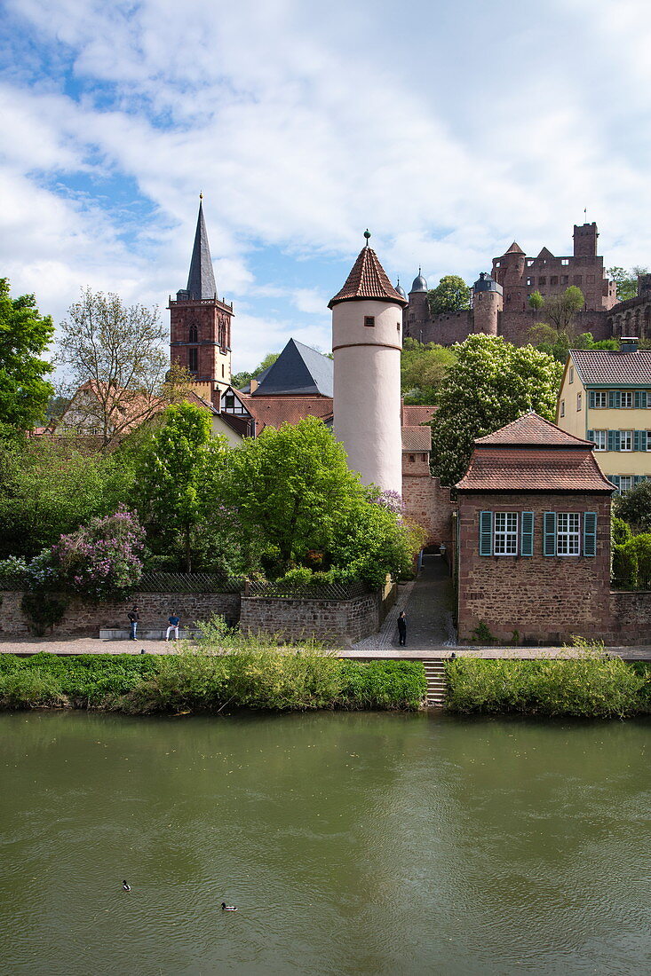 Die Tauber fließt sanft an der Altstadt vorbei mit Roter Turm am Faultor (Kittsteintor), Stiftskirche und Burg Wertheim, Wertheim, Spessart-Mainland, Franken, Baden-Württemberg, Deutschland, Europa