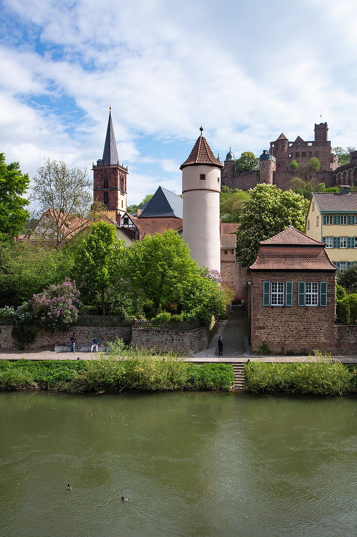 The Tauber flows gently past the old town with the Roter Turm am Faultor (Kittsteintor), collegiate church and Wertheim Castle, Wertheim, Spessart-Mainland, Franconia, Baden-Wuerttemberg, Germany, Europe