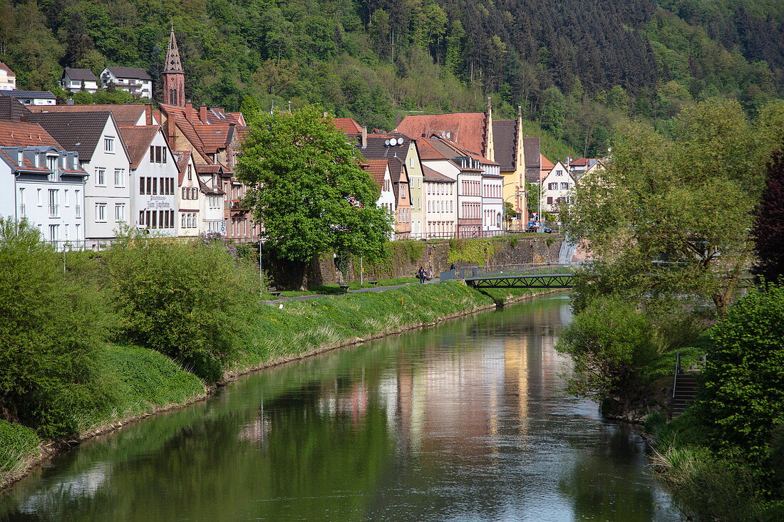 Die Tauber fließt sanft an der Altstadt vorbei, Wertheim, Spessart-Mainland, Franken, Baden-Württemberg, Deutschland, Europa