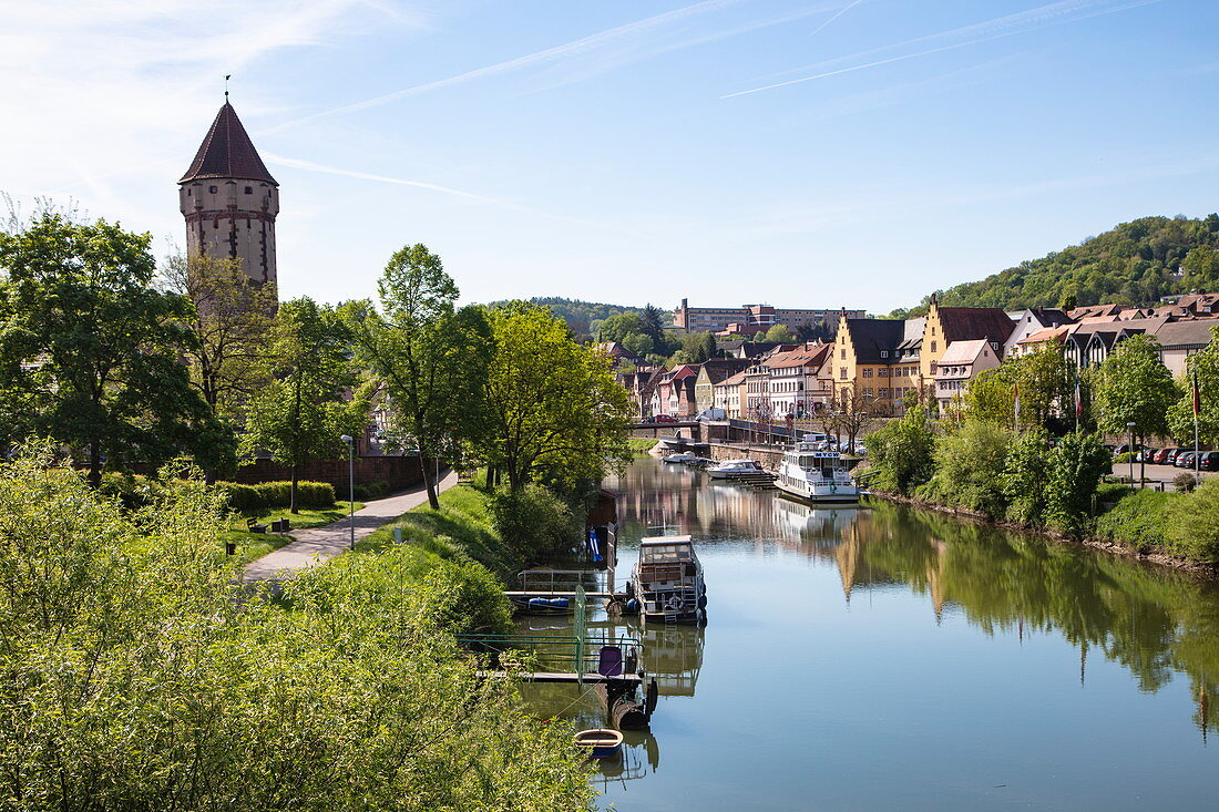 The Tauber near the confluence with the Main with the Spitzturm, Wertheim, Spessart-Mainland, Franconia, Baden-Wuerttemberg, Germany, Europe