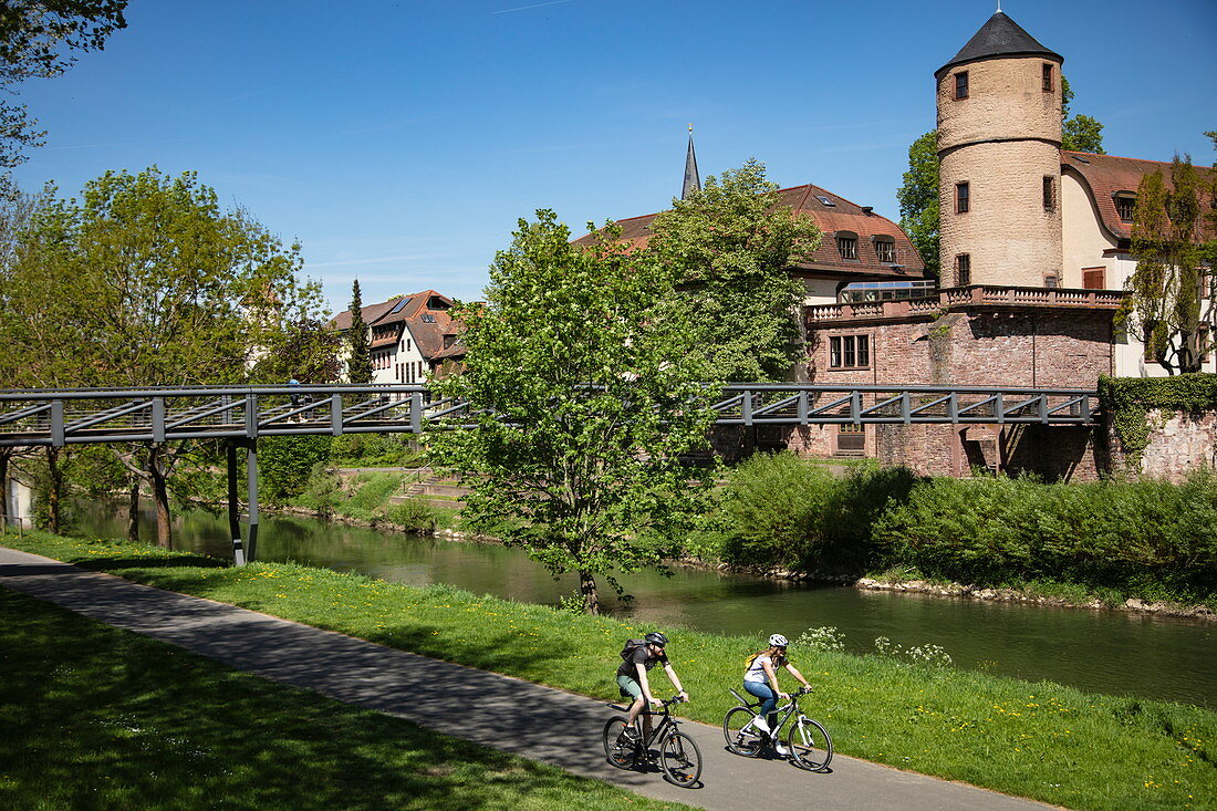 Cyclists on cycle path along the Tauber with the former Princely Court and White Tower of the city wall behind it, Wertheim, Spessart-Mainland, Franconia, Baden-Wuerttemberg, Germany, Europe