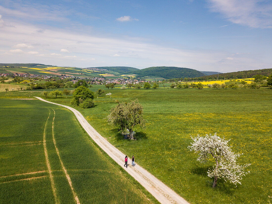 Luftaufnahme von zwei Frauen die entlang Feldweg durch üppige Frühlingslandschaft spazieren, Eschau, Räuberland, Spessart-Mainland, Franken, Bayern, Deutschland, Europa