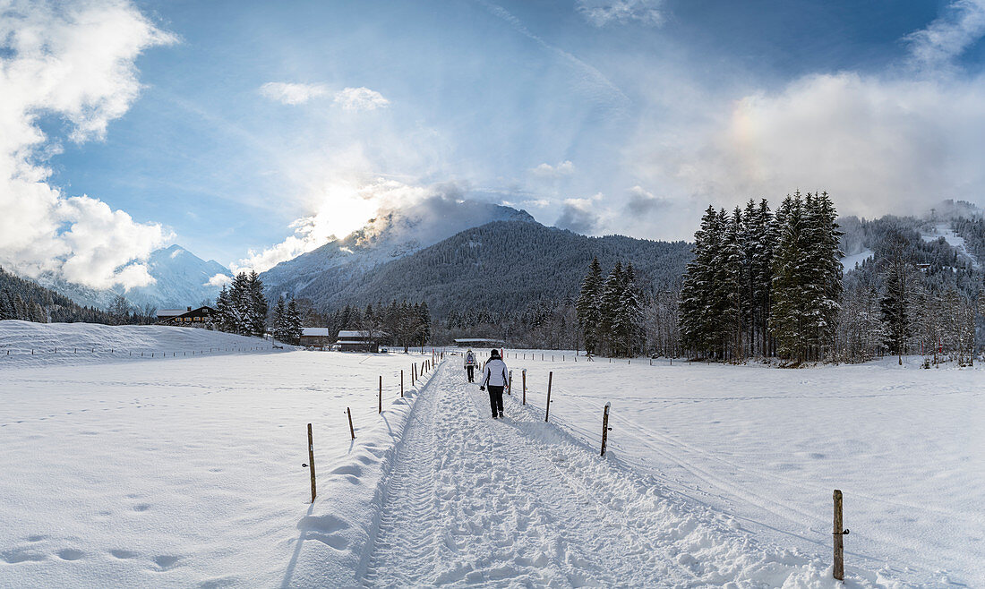 Winter hiking trail in snowy winter landscape in front of mountain panorama, Germany, Bavaria, Oberallgäu, Oberstdorf