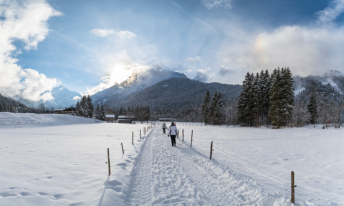 Winterwanderweg in verschneiter Winterlandschaft vor Bergpanorama, Deutschland, Bayern, Oberallgäu, Oberstdorf