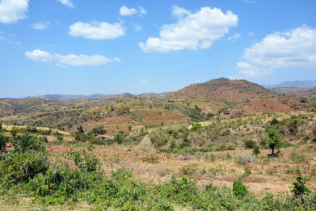 Äthiopien; Region der südlichen Nationen; südliches äthiopisches Hochland; Terrassenfelder bei Konso; Kulturlandschaft des gleichnamigen Volkes der Konso