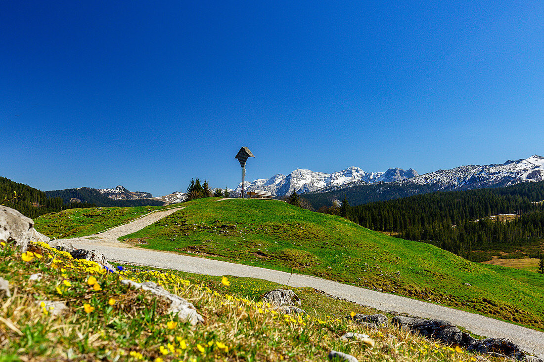 Wooden cross on the Winklmoos Alm in spring with mountain panorama, Tyrol, Salzburg, Chiemgau, Bavaria, Germany