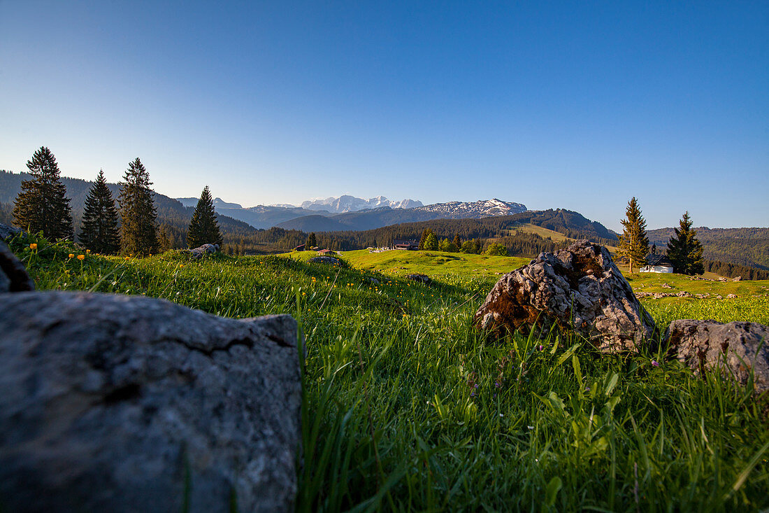 Winklmoos Alm im Frühling und Ausblick in die Tiroler Alpen, Tirol, Chiemgau, Bayern, Deutschland