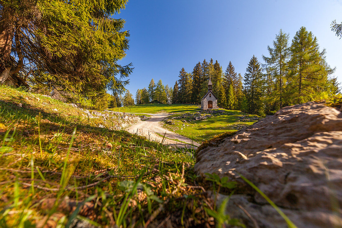 Autumn hiking trail on the Hemmer Suppen Alm, Chiemgau, Bavaria, Germany