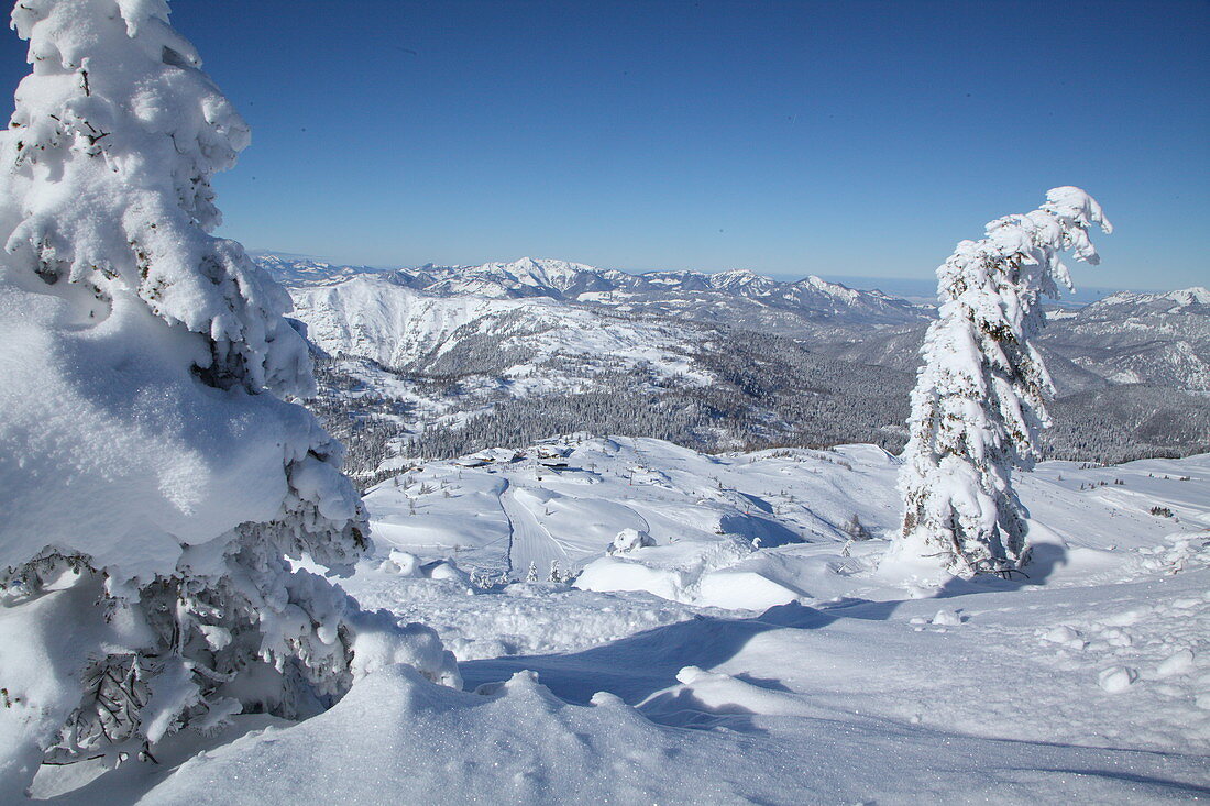 Steinplatte in winter with a view of the Tyrolean and Chiemgau Alps, Tyrol, Pillerseetal, Austria