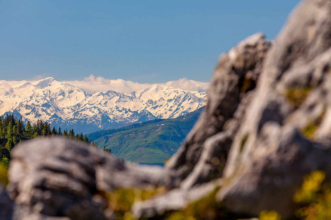Panoramablick zum Großglockner im Sommer, Tirol, Österreich