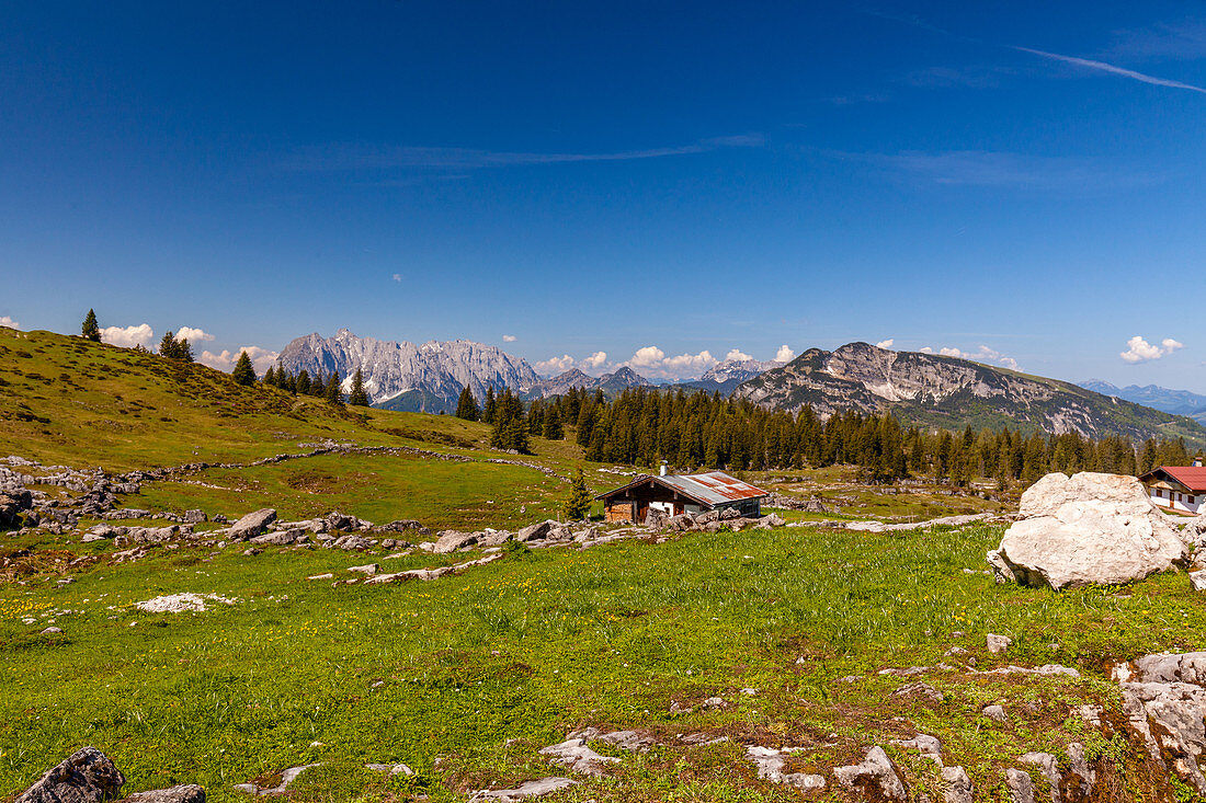 Eggenalm mit Chiemgauer Alpen im Sommer, Chiemgau, Bayern, Deutschland