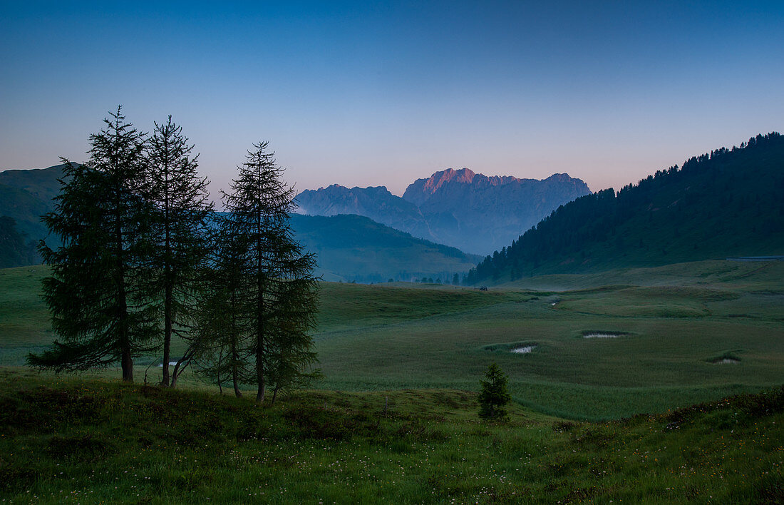 Sommer, Sonnenaufgang auf den Wiesen von Casera Feston, Karnische Alpen bei Sauris, Udine in der Region Friaul. Italien