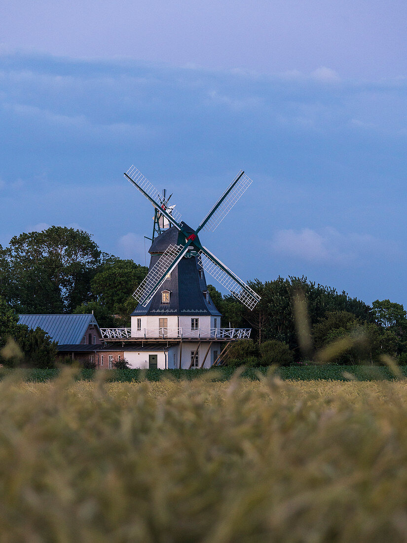 Windmühle bei Borgsum, Insel Föhr, Nordfriesland, Deutschland
