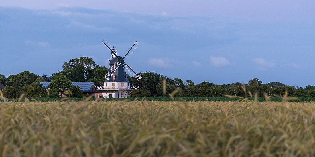 Windmill at Borgsum, Foehr Island, North Frisia, Germany