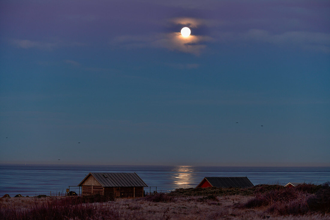 Fishing huts by the sea and the full moon conjures up a magical light, Grimsholmen, Halland, Sweden