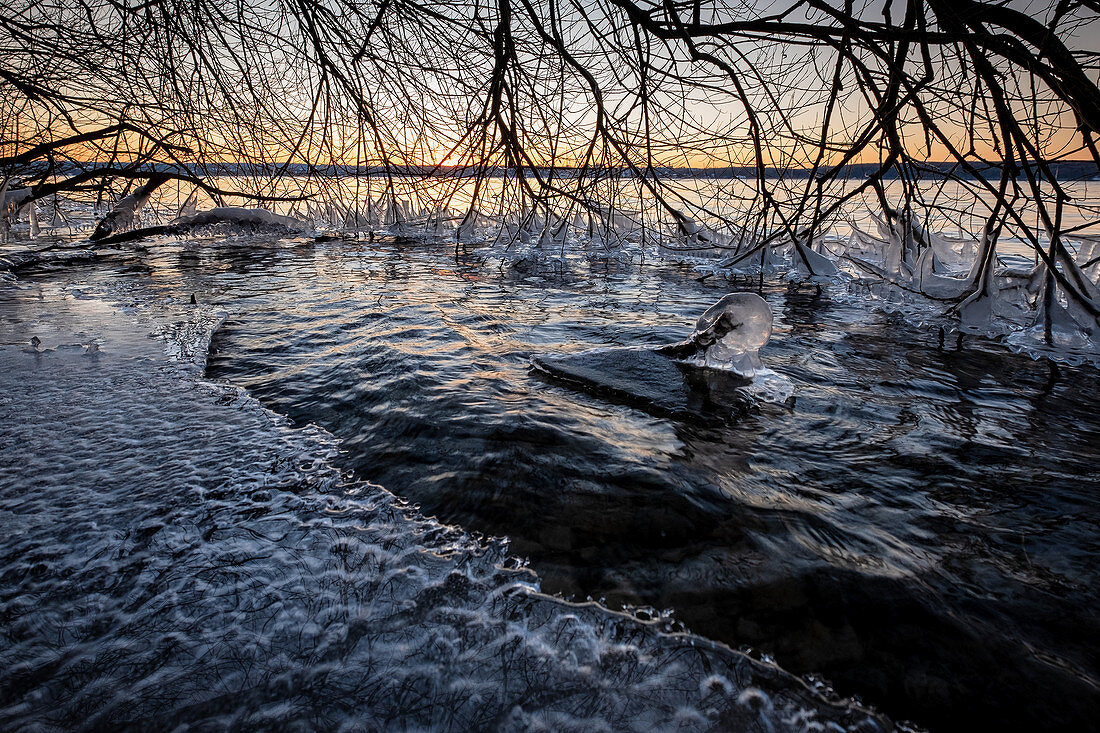 View of icy branches on the shore of Ammersee, Fünfseenland, Upper Bavaria, Bavaria, Germany, Europe