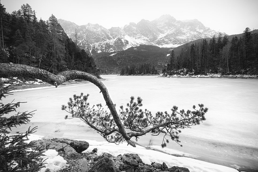 Blick auf den Eibsee im Winter, Grainau, Oberbayern, Bayern, Deutschland, Europa,