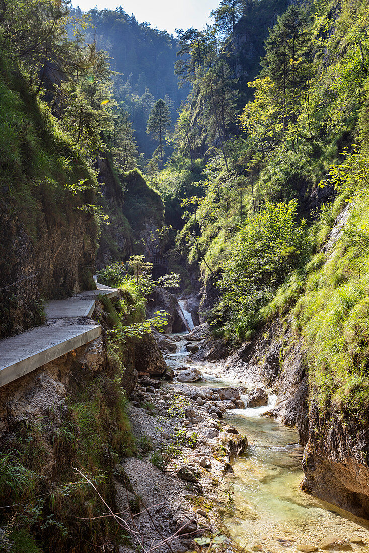 Schlucht der Almbachklamm in den Berchtesgadener Alpen, Bayern, Deutschland