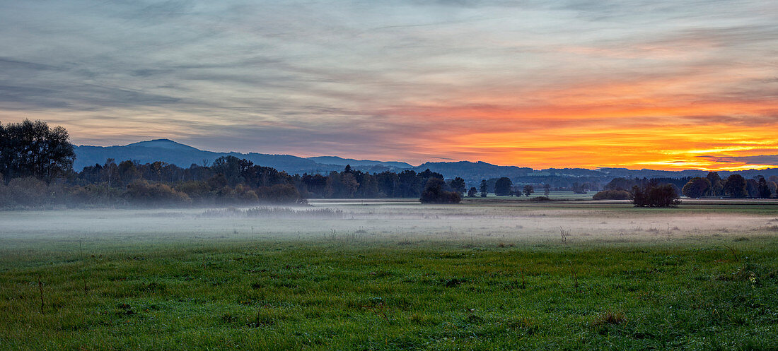 Field with ground fog at sunset near Bad Aibling, Panorama, Bavaria, Germany