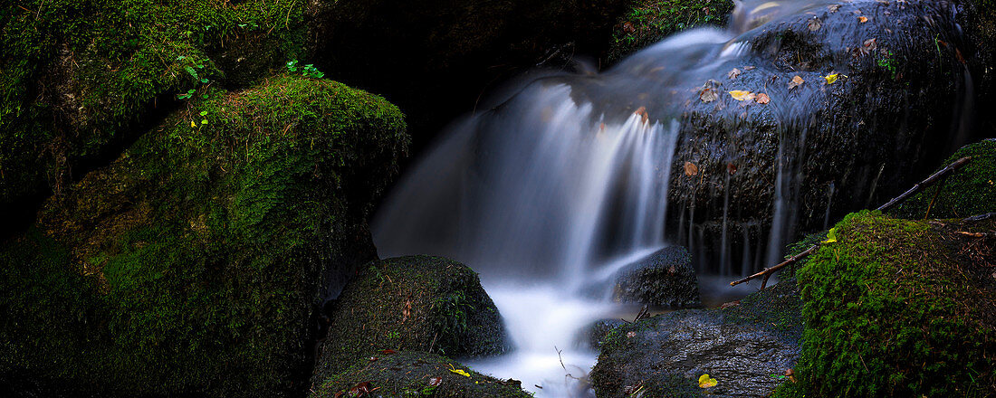 An der Buchberger Leite nahe Freyung, Bayerischer Wald, Niederbayern, Bayern, Deutschland