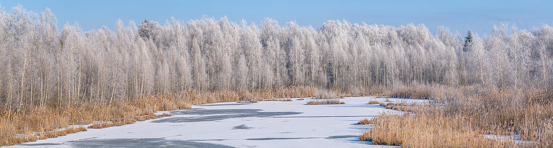 Wintermorgen im Weilheimer Moos, Bayern, Deutschland; Europa