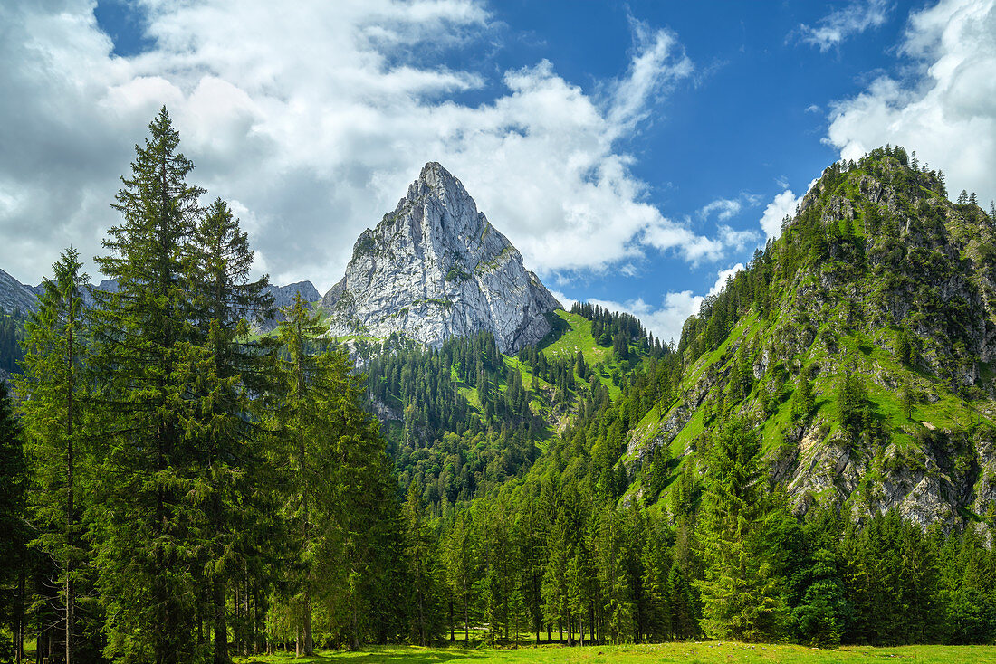 Blick auf den Geiselstein, Halblech, Ammergauer Alpen, Bayern, Deutschland