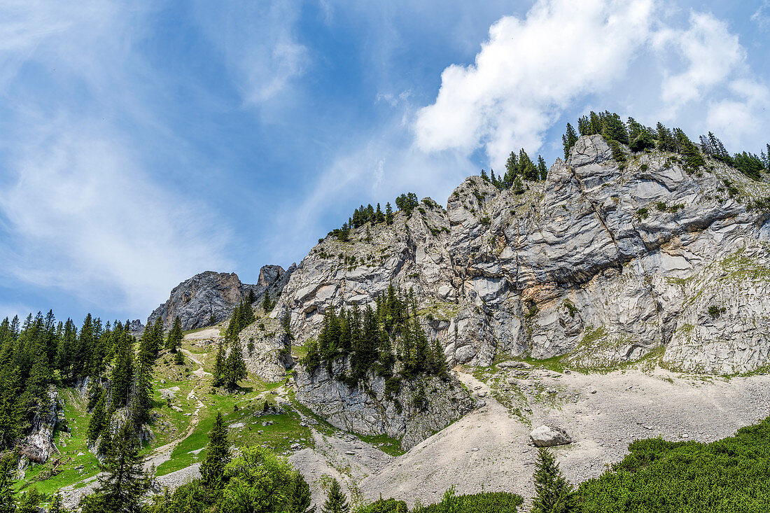 On the way to Hasentalkopf in the Ammergau Alps, Bavaria, Germany, Europe