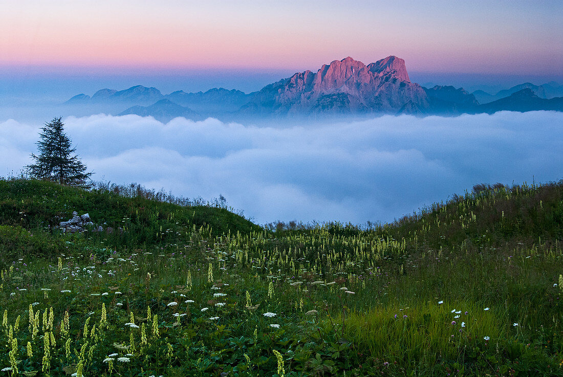Sonnenaufgang in den Karnischen Alpen, Berg Creta Grauzaria, Region Friaul Julisch Venetien, Provinz Udine, Italien