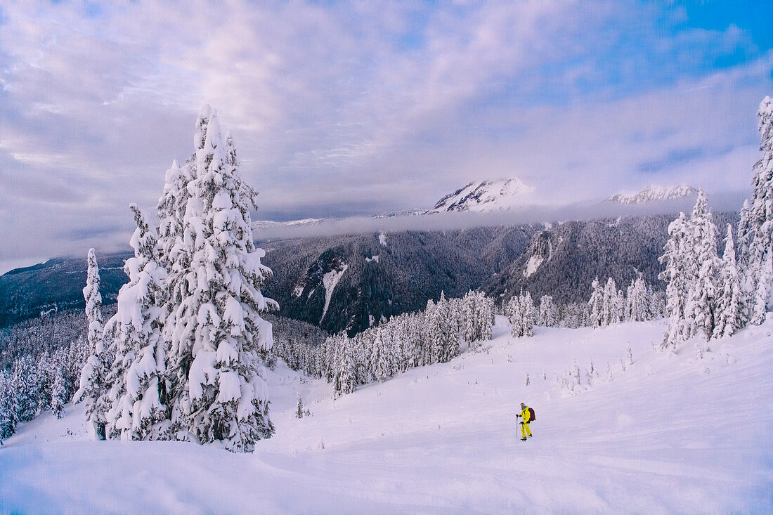 Person skiing through a wintry landscape, snow-capped mountains in the distance.