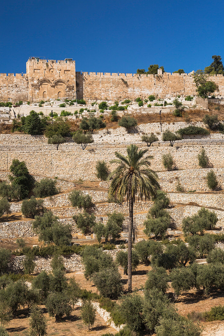 Cemetery with olive trees and fortified stone wall with Golden Gate, Old City of Jerusalem, Israel.