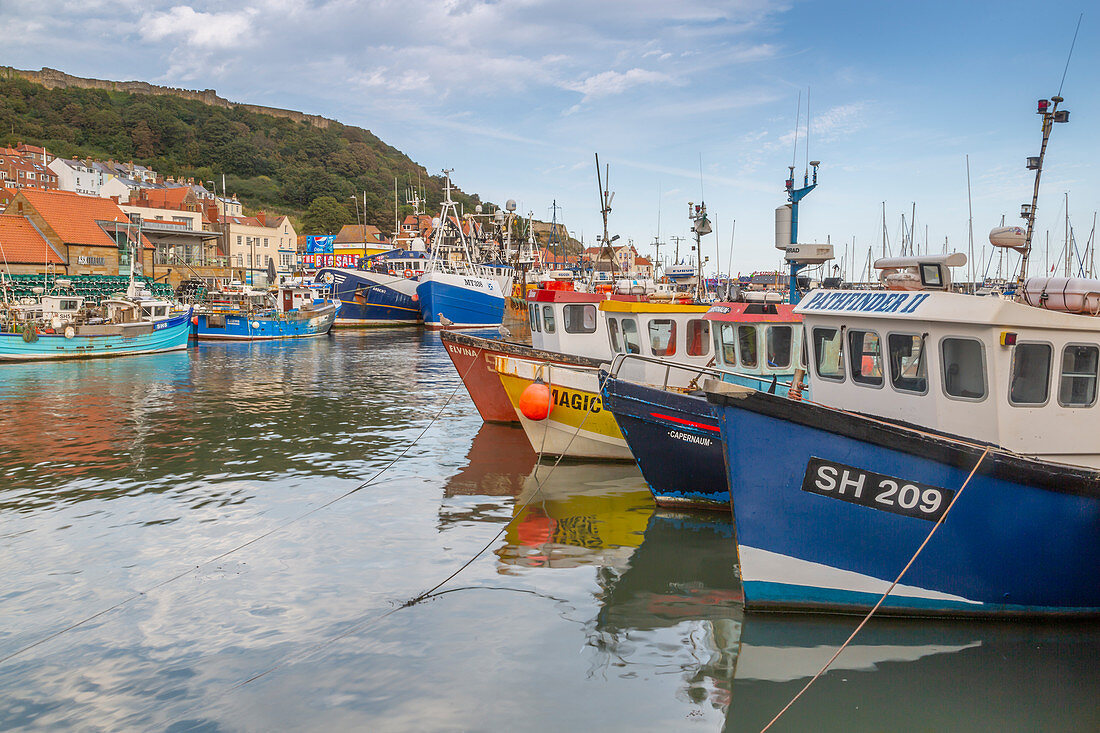 View of old harbour below Castle Hill, Scarborough, North Yorkshire, Yorkshire, England, United Kingdom, Europe