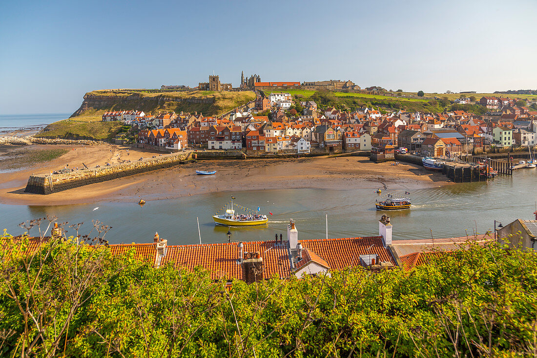 Ansicht der Whitby Abbey, der St. Mary's Church und der Häuser am Fluss Esk, Whitby, Yorkshire, England, Großbritannien, Europa