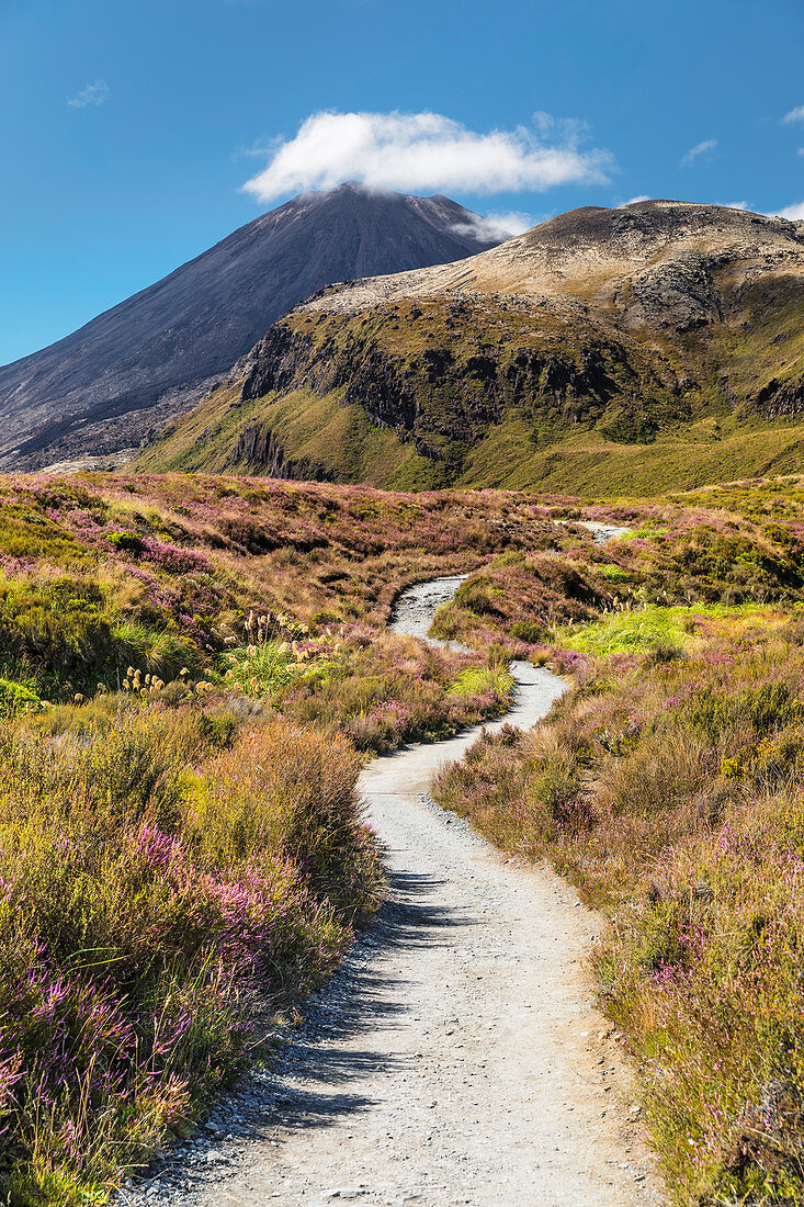 Mount Ngauruhoe, Tongariro Alpenübergang, Tongariro National Park, UNESCO-Weltkulturerbe, Nordinsel, Neuseeland, Pazifik