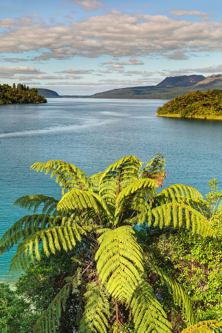 See Tarawera, Rotorua, Nordinsel, Neuseeland, Pazifik