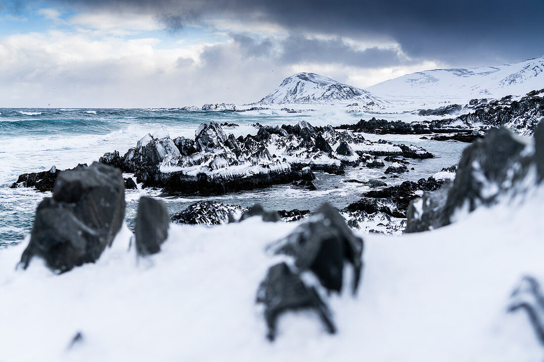 Mit Schnee bedeckte Klippen an der Küste der kalten Barentssee, Sandfjord, Arktischer Ozean, Varanger-Halbinsel, Finnmark, Norwegen, Skandinavien, Europa