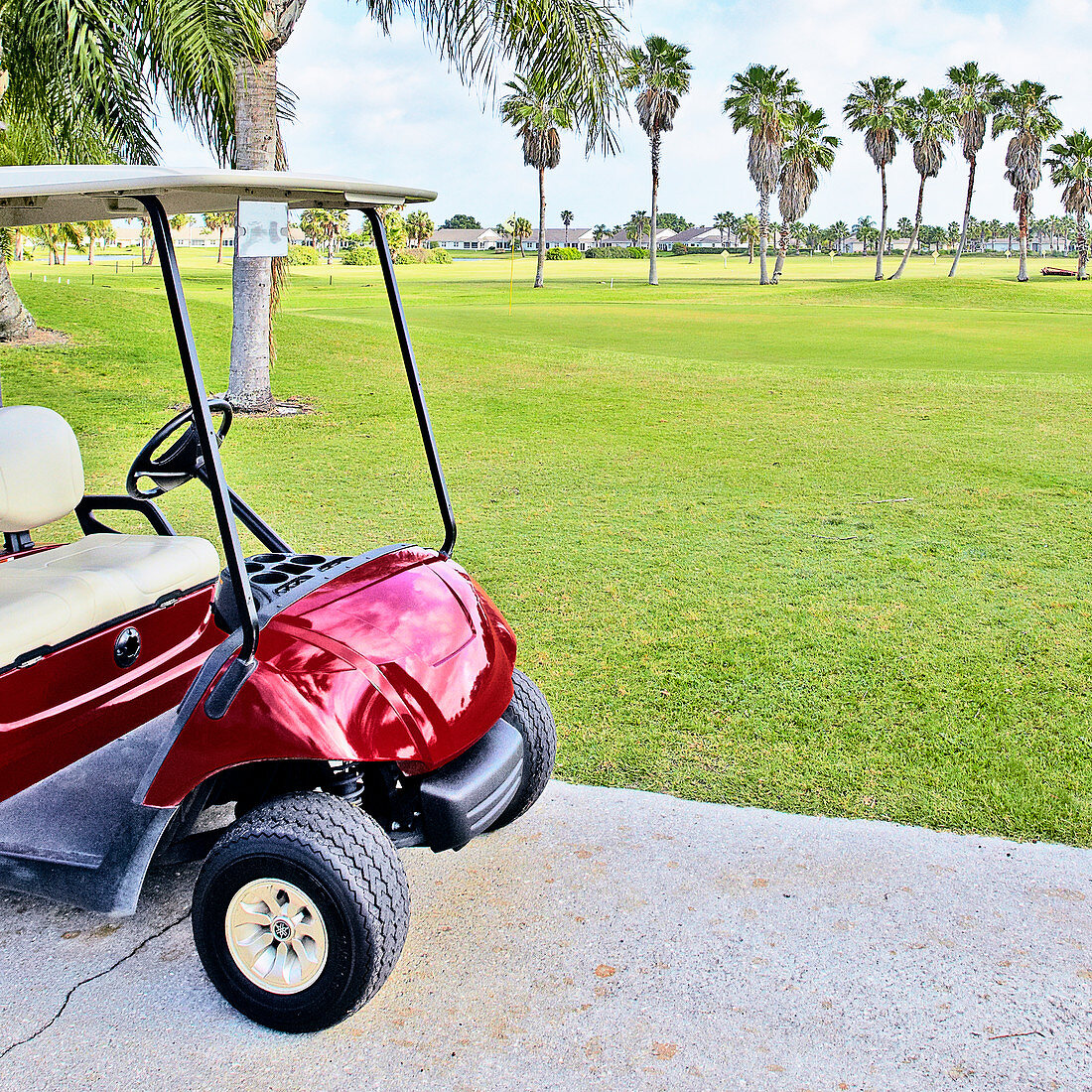 Golf buggy with palm trees on golf course.